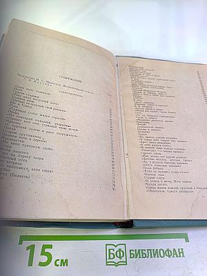 И.С. Никитин Избранное