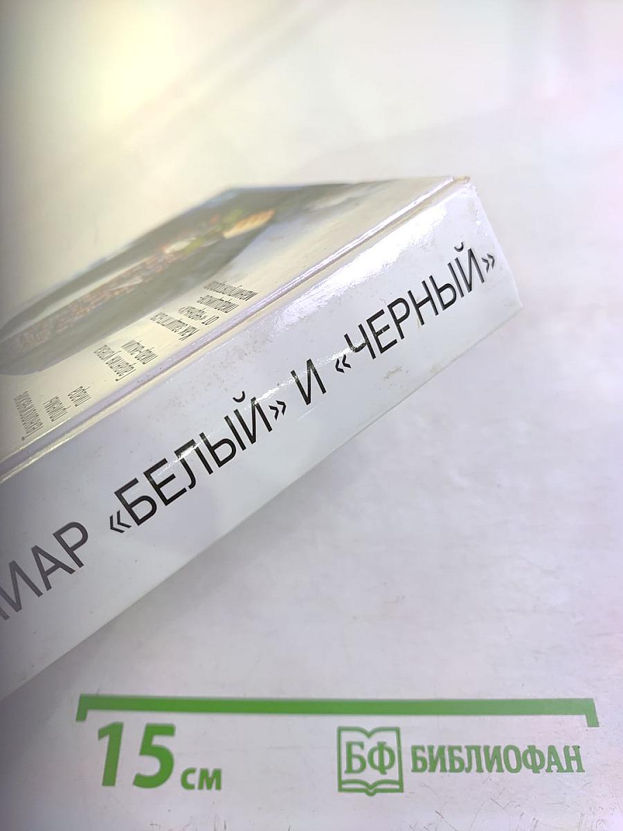 ПИАР «БЕЛЫЙ» И «ЧЕРНЫЙ». Технология скрытого управления людьми