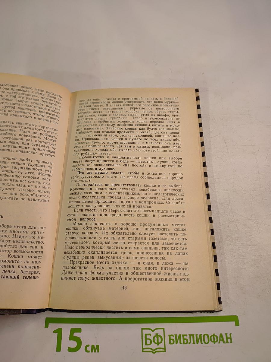 Страшнее кошки зверя нет