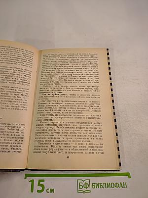 Страшнее кошки зверя нет