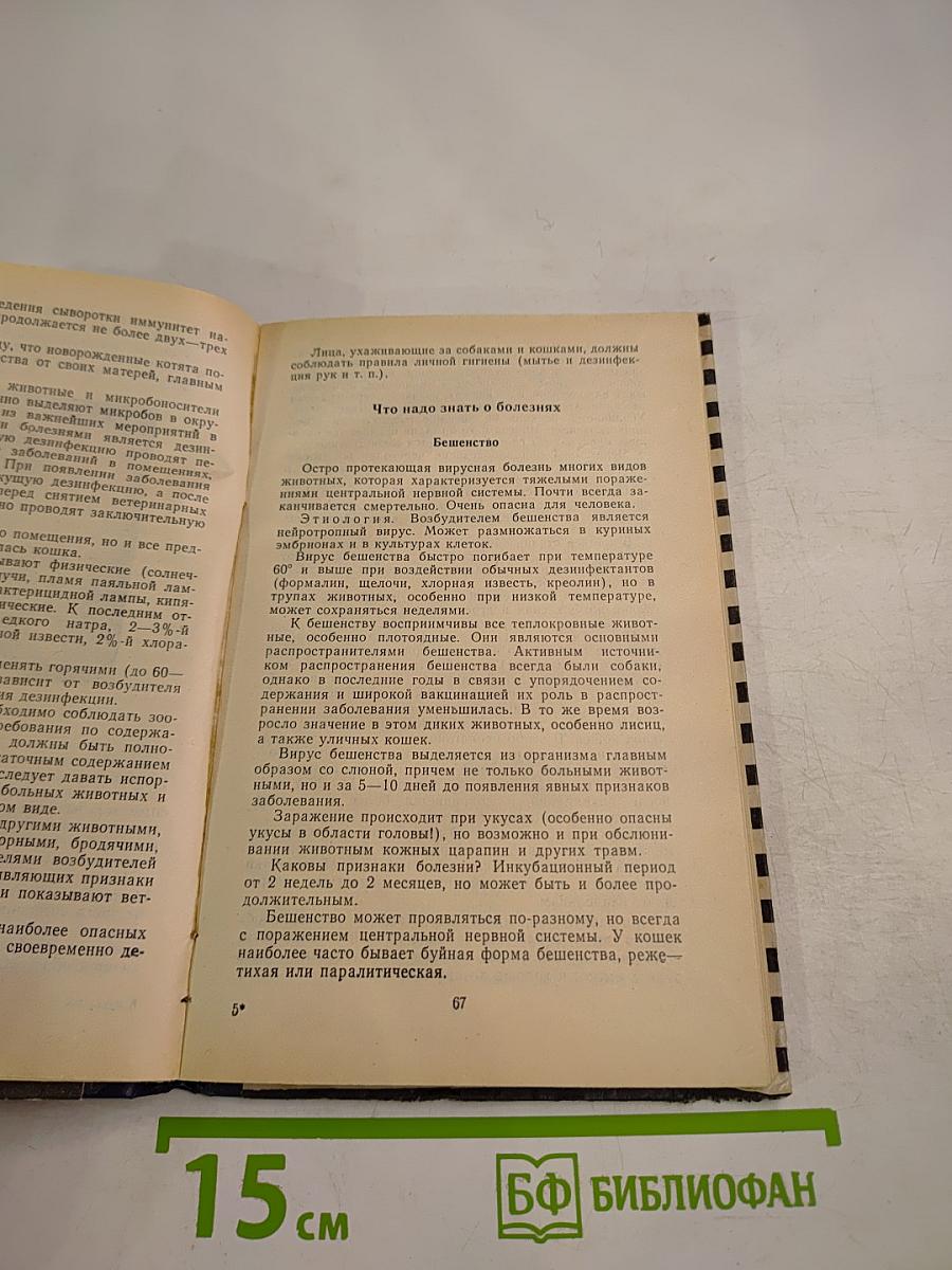 Страшнее кошки зверя нет