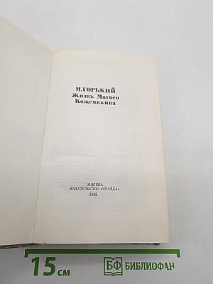 Жизнь Матвея Кожемякина