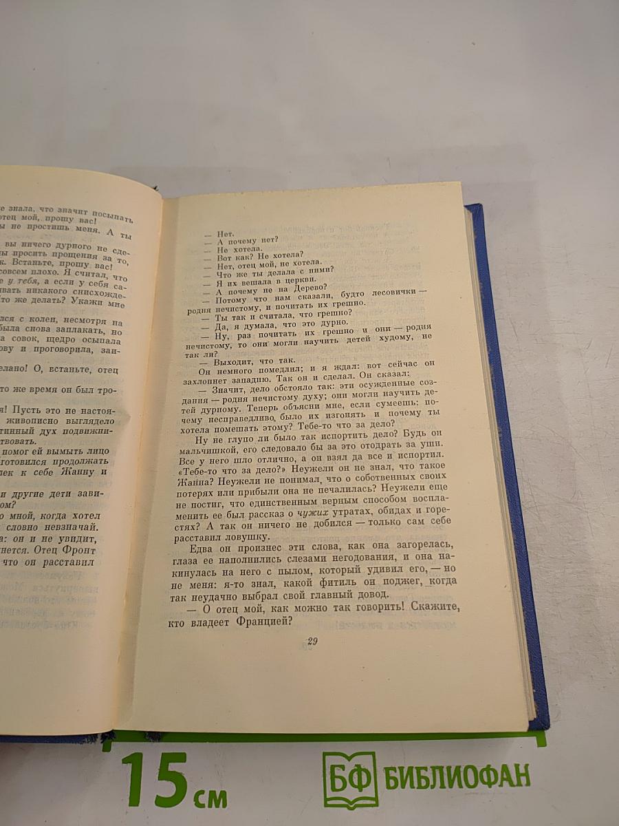 Личные воспоминания о Жанне д'Арк. Том Сойер - сыщик