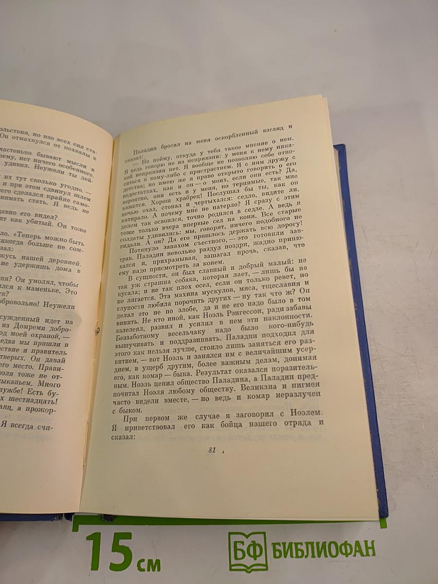 Личные воспоминания о Жанне д'Арк. Том Сойер - сыщик