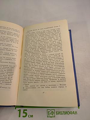 Личные воспоминания о Жанне д'Арк. Том Сойер - сыщик