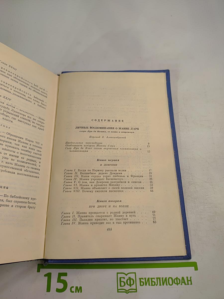 Личные воспоминания о Жанне д'Арк. Том Сойер - сыщик