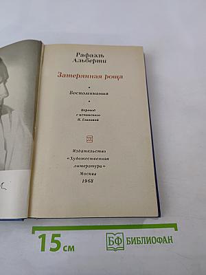 Затерянная роща