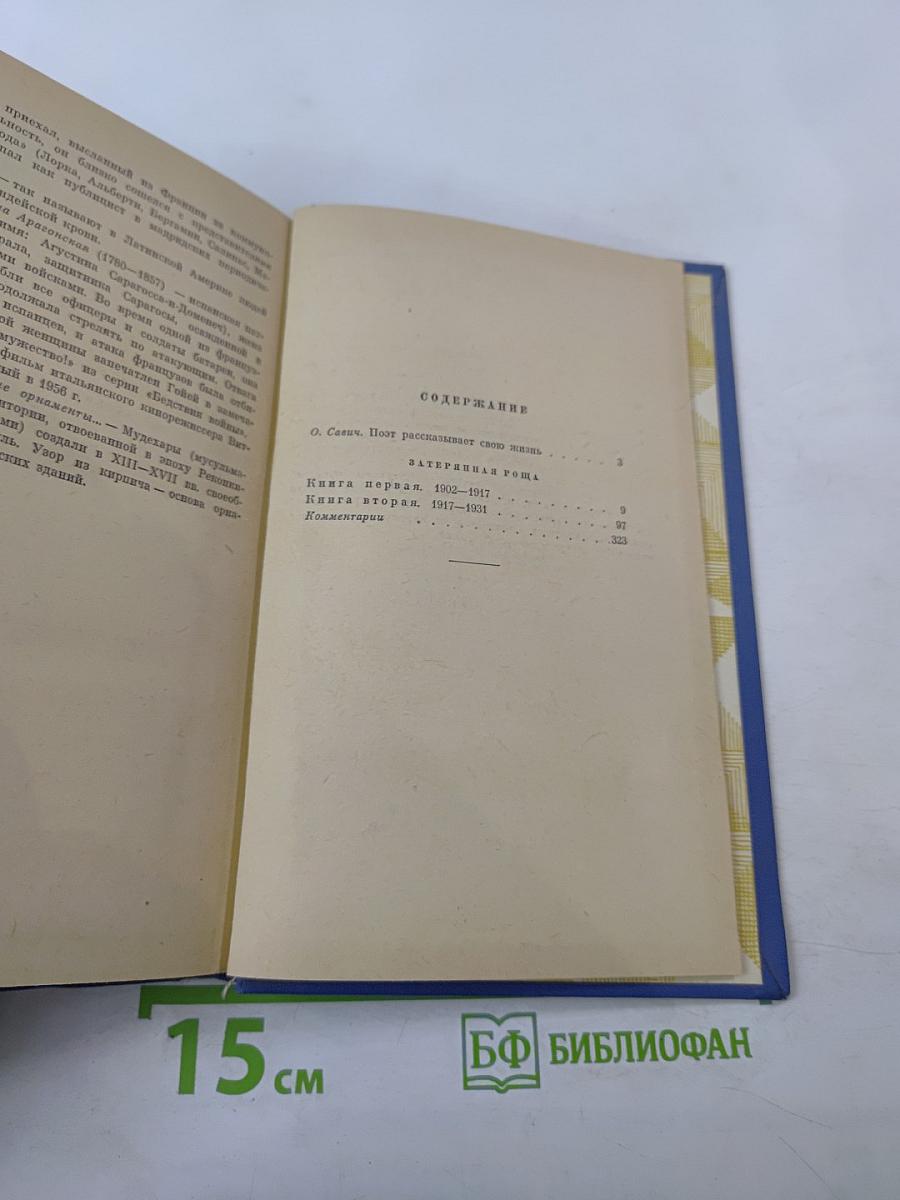 Затерянная роща