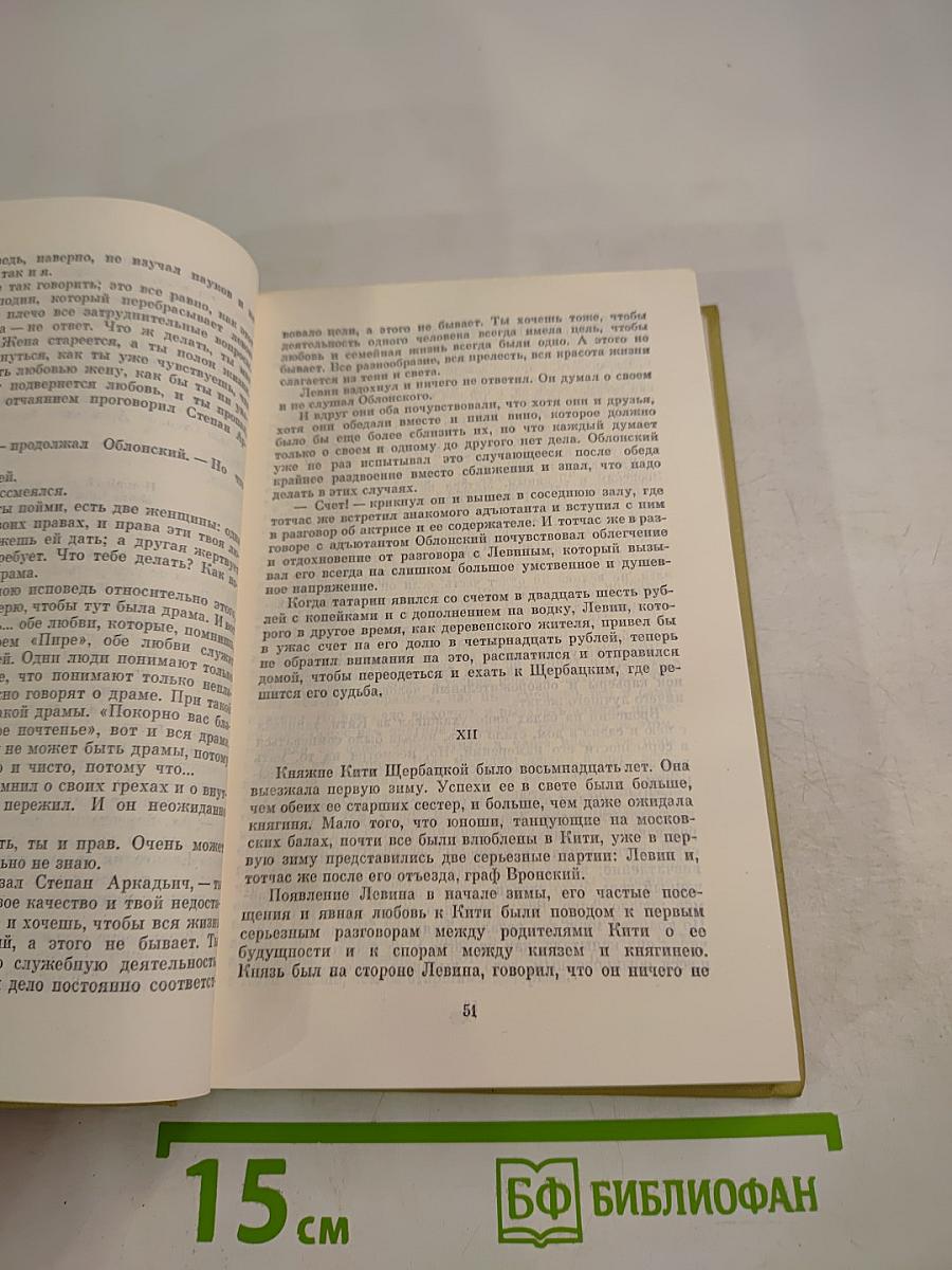 Анна Каренина. Роман в восьми частях. Собрание сочинений. Том восьмой