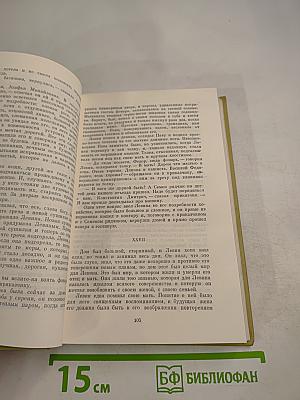 Анна Каренина. Роман в восьми частях. Собрание сочинений. Том восьмой