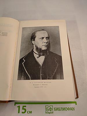 Собрание сочинений. Том 1: Критика и публицистика (1856-1864)