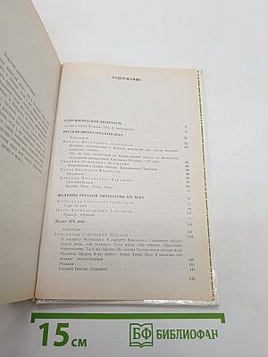 Литература 9 класс