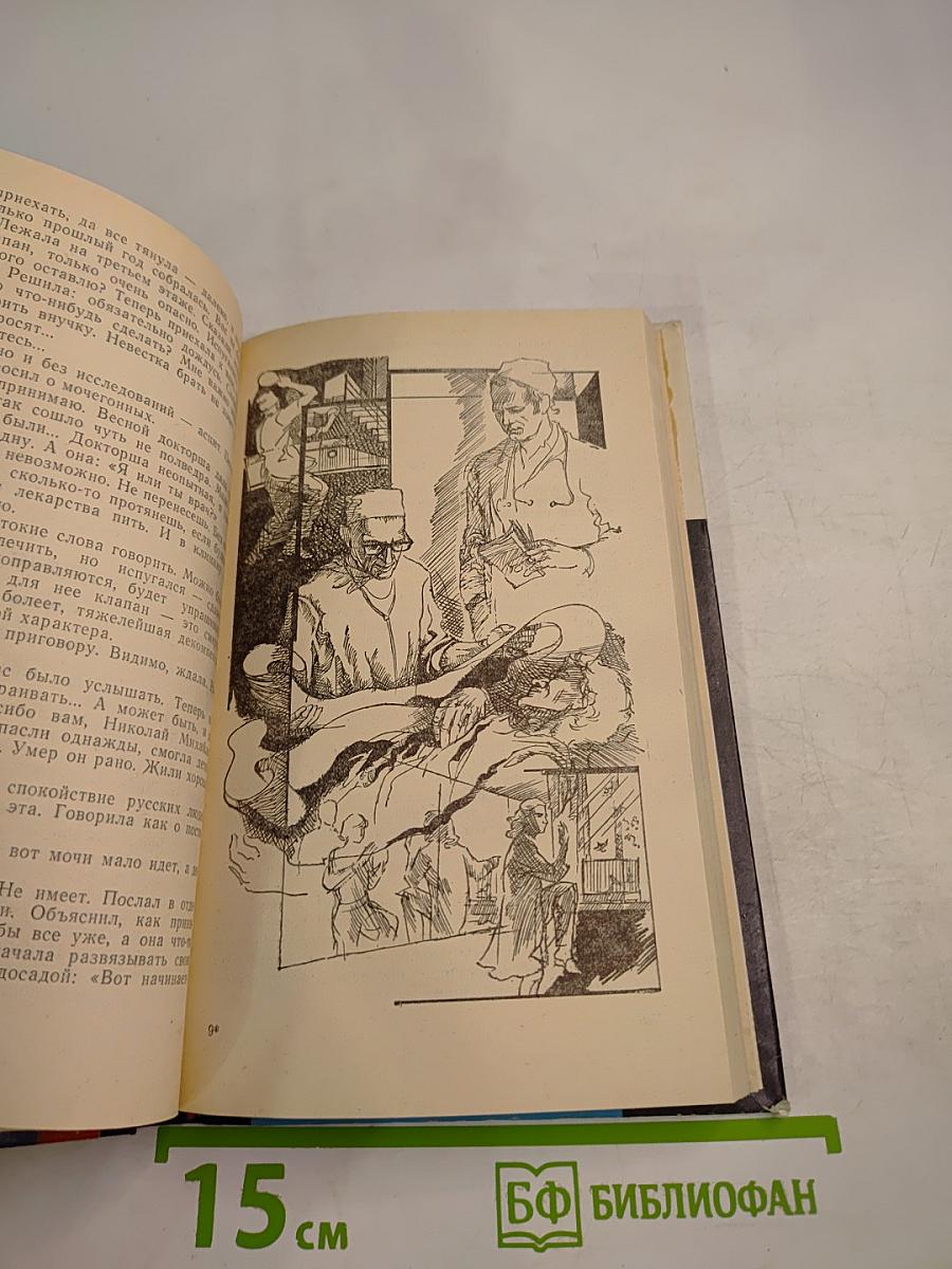 Книга о счастье и несчастьях (Дневник с воспоминаниями и отступлениями)