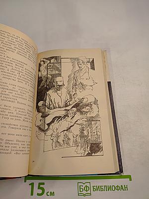 Книга о счастье и несчастьях (Дневник с воспоминаниями и отступлениями)