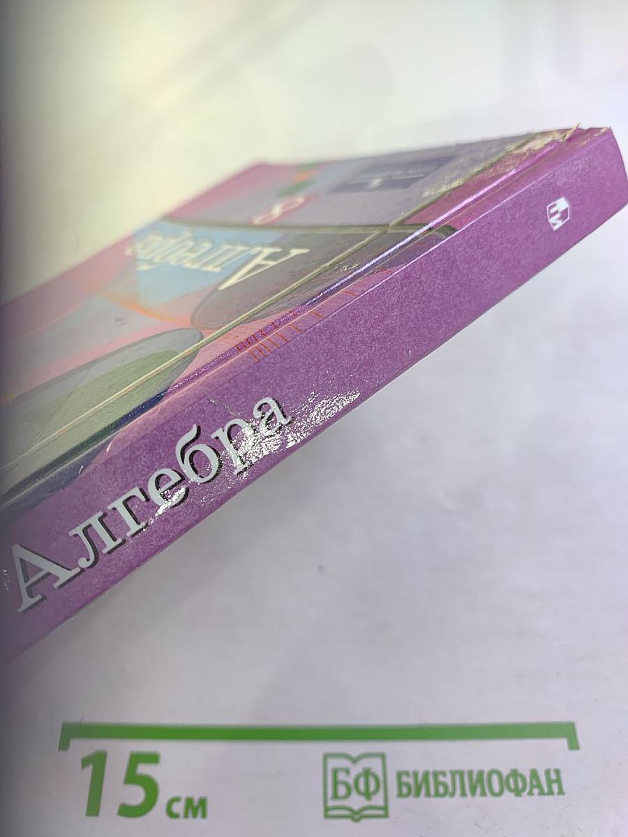 Алгебра 8 класс