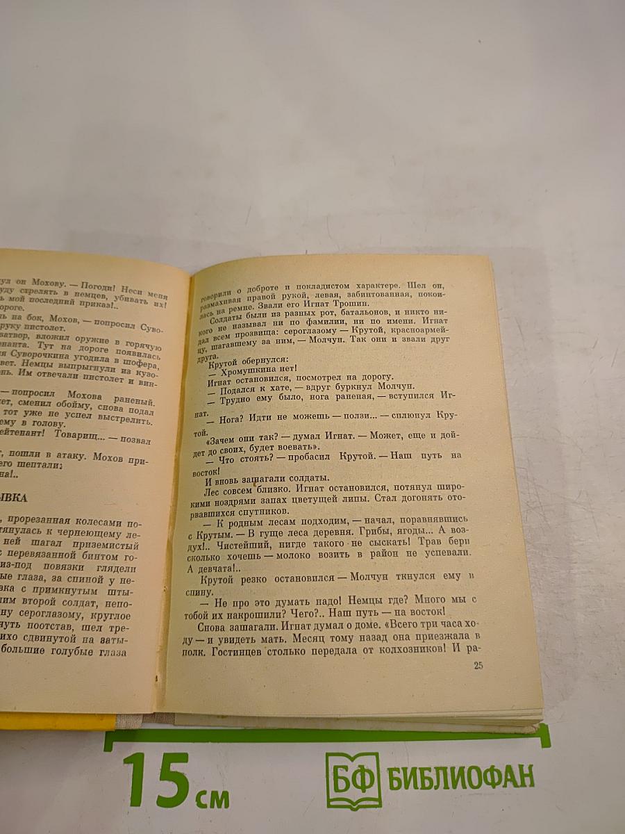 Солдатская совесть