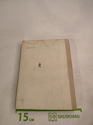 Солдатская совесть