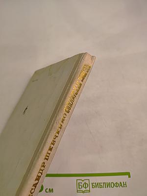 Солдатская совесть