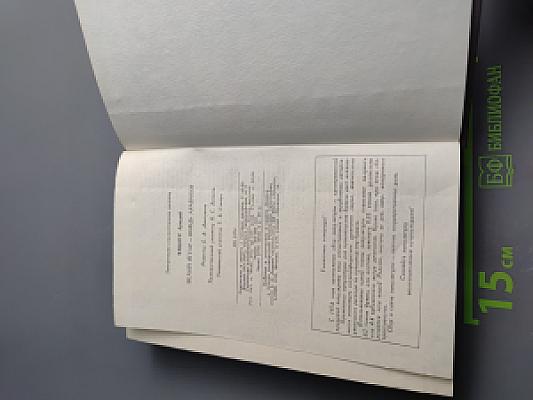 Белый Ягуар - вождь араваков