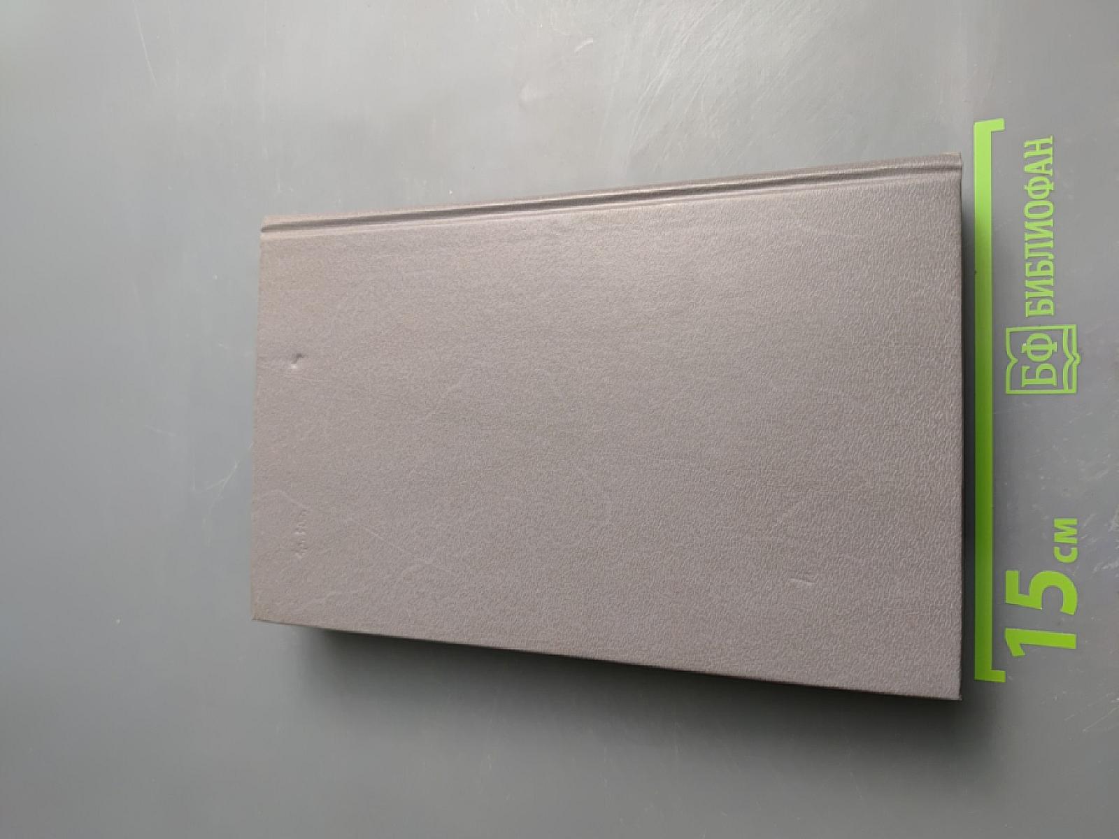 Белый Ягуар - вождь араваков