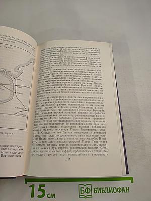 На дороге жизни