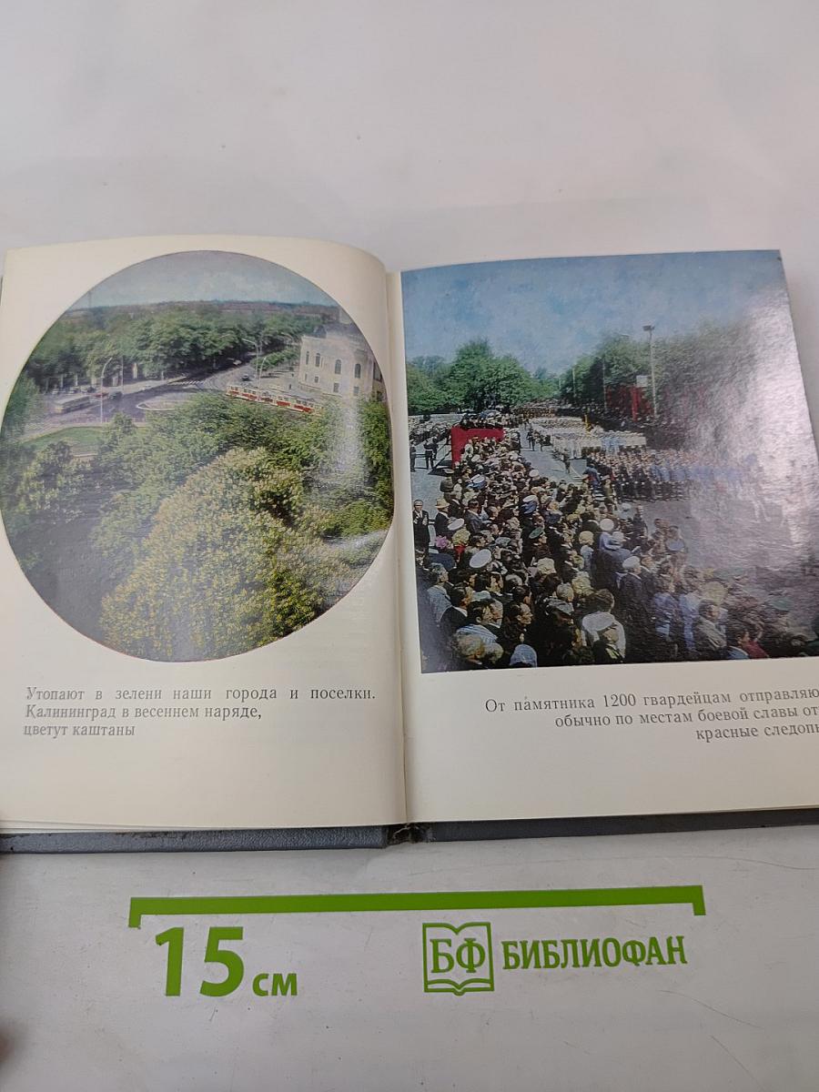 Дорогами янтарного края. Спутник туриста