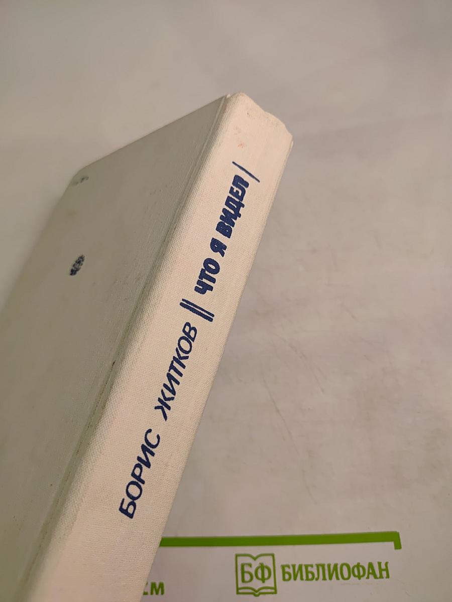 Что я видел: Рассказы и сказки