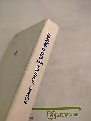 Что я видел: Рассказы и сказки