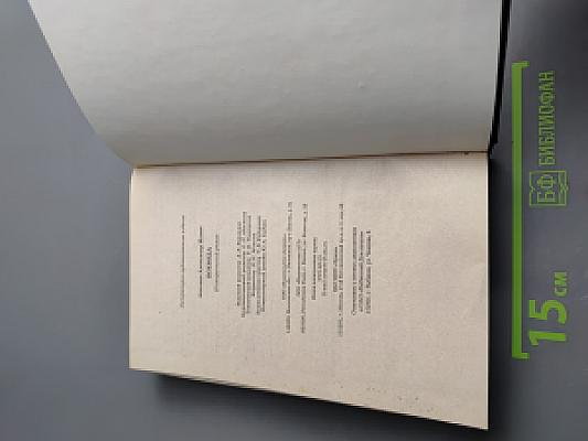 Адашев: Воевода