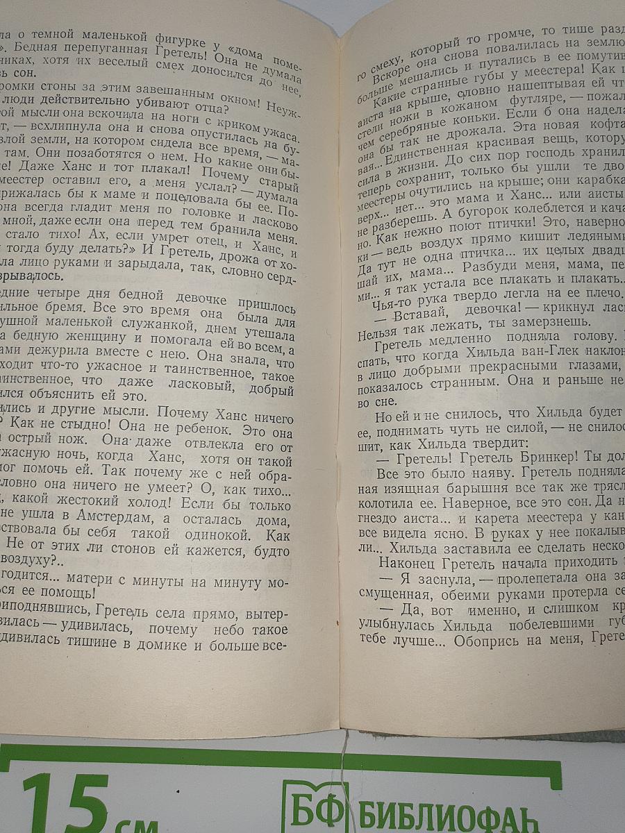 Серебряные коньки или Ганс Бринкер