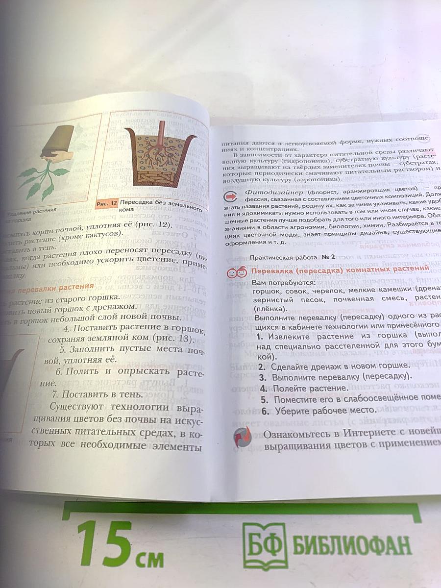 Технология 6 класс