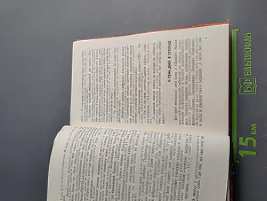 Сокрушение "Тайфуна"