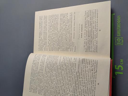 Приключения Каспера Берната в Польше и других странах