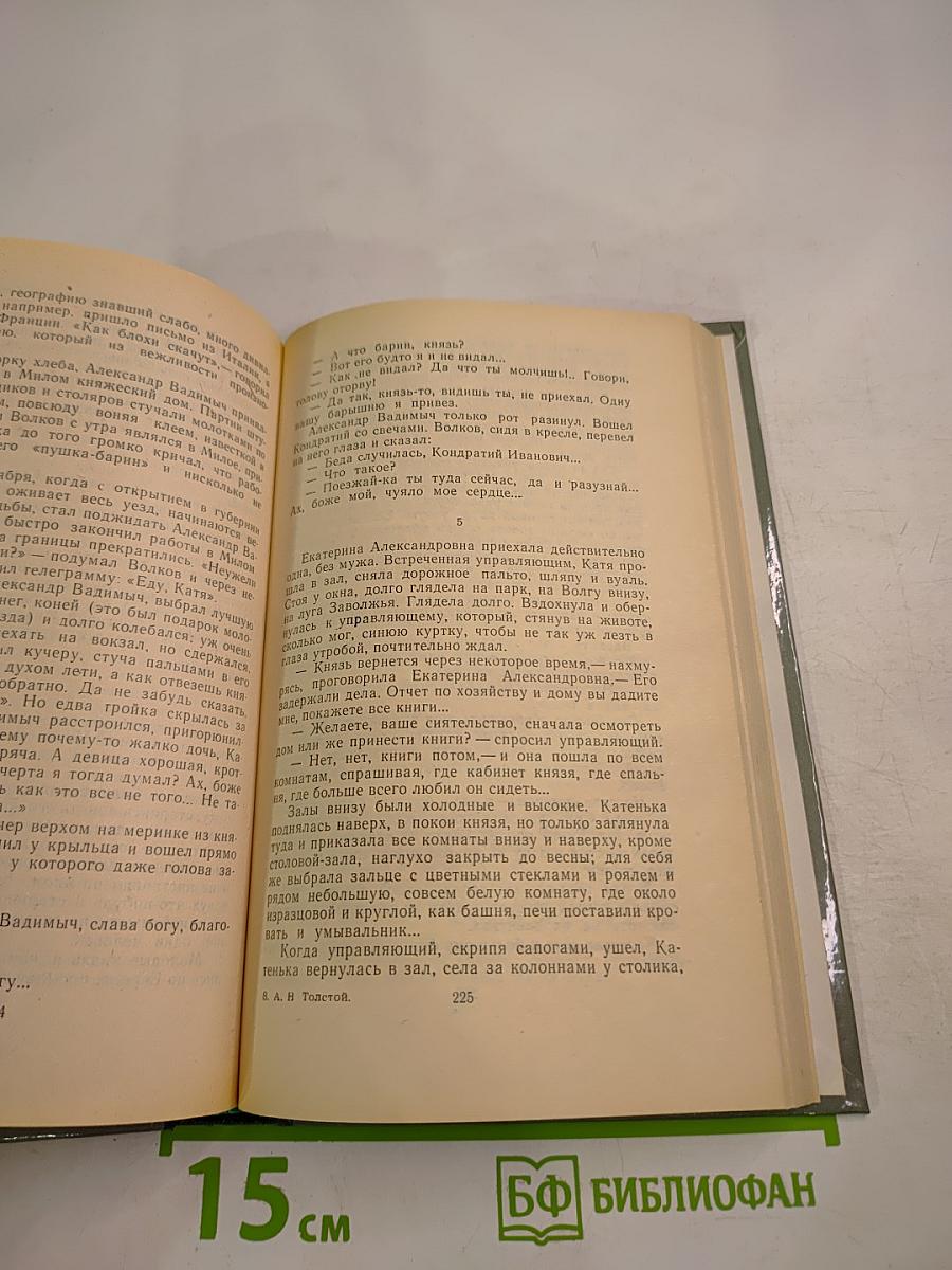 Чудаки. Хромой барин. Егор Абозов