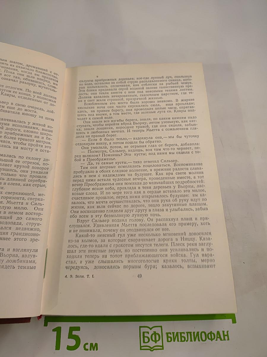 Эмиль Золя. Том 1. Карьера Ругонов. Добыча