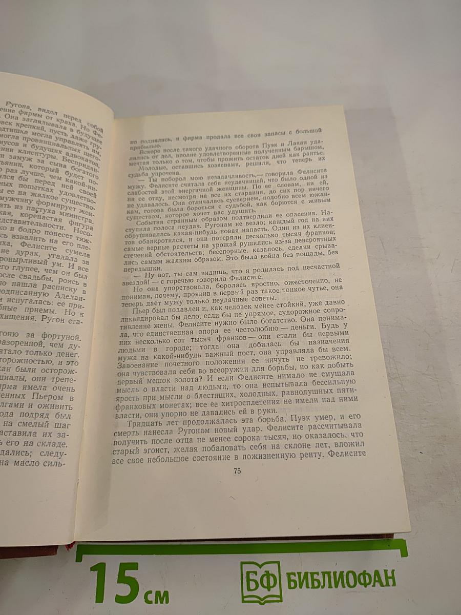 Эмиль Золя. Том 1. Карьера Ругонов. Добыча