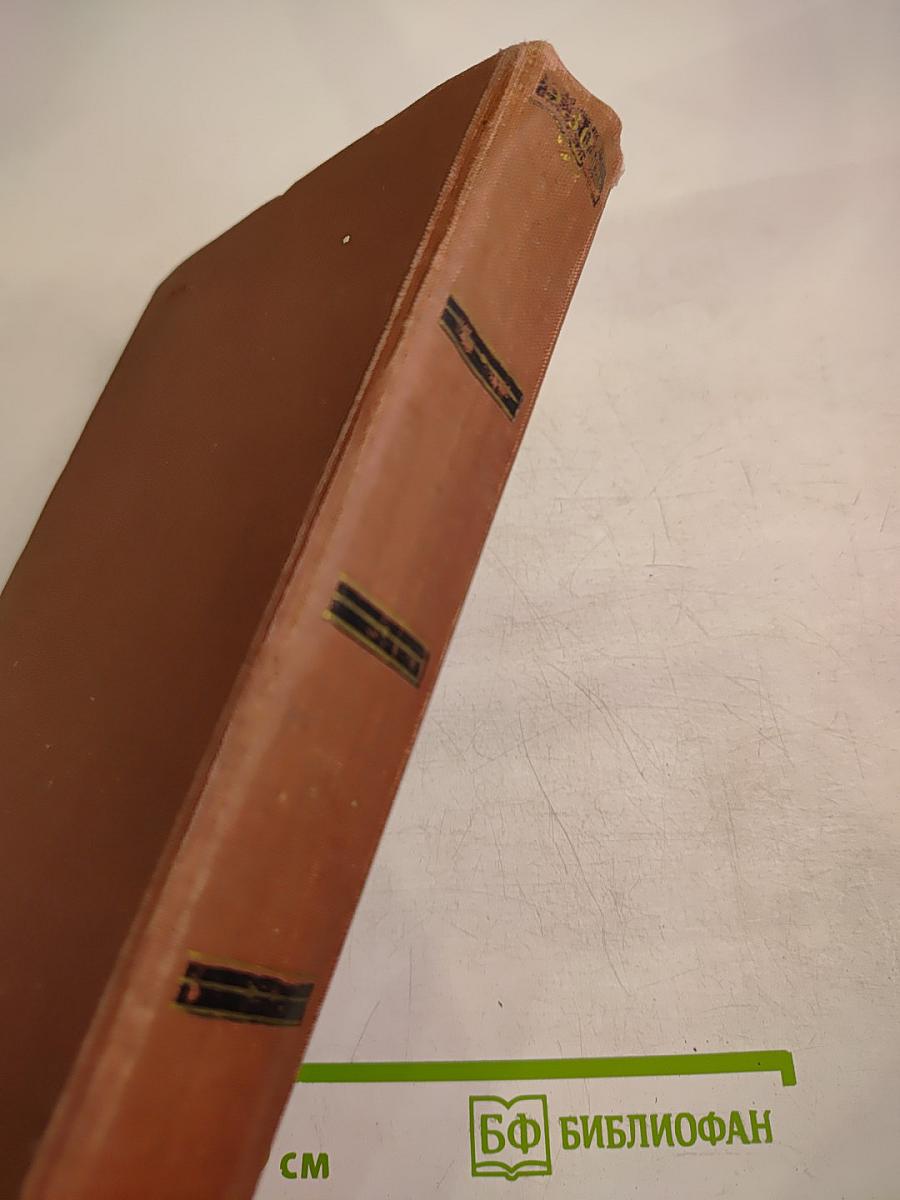 Эмиль Золя. Том 1. Карьера Ругонов. Добыча