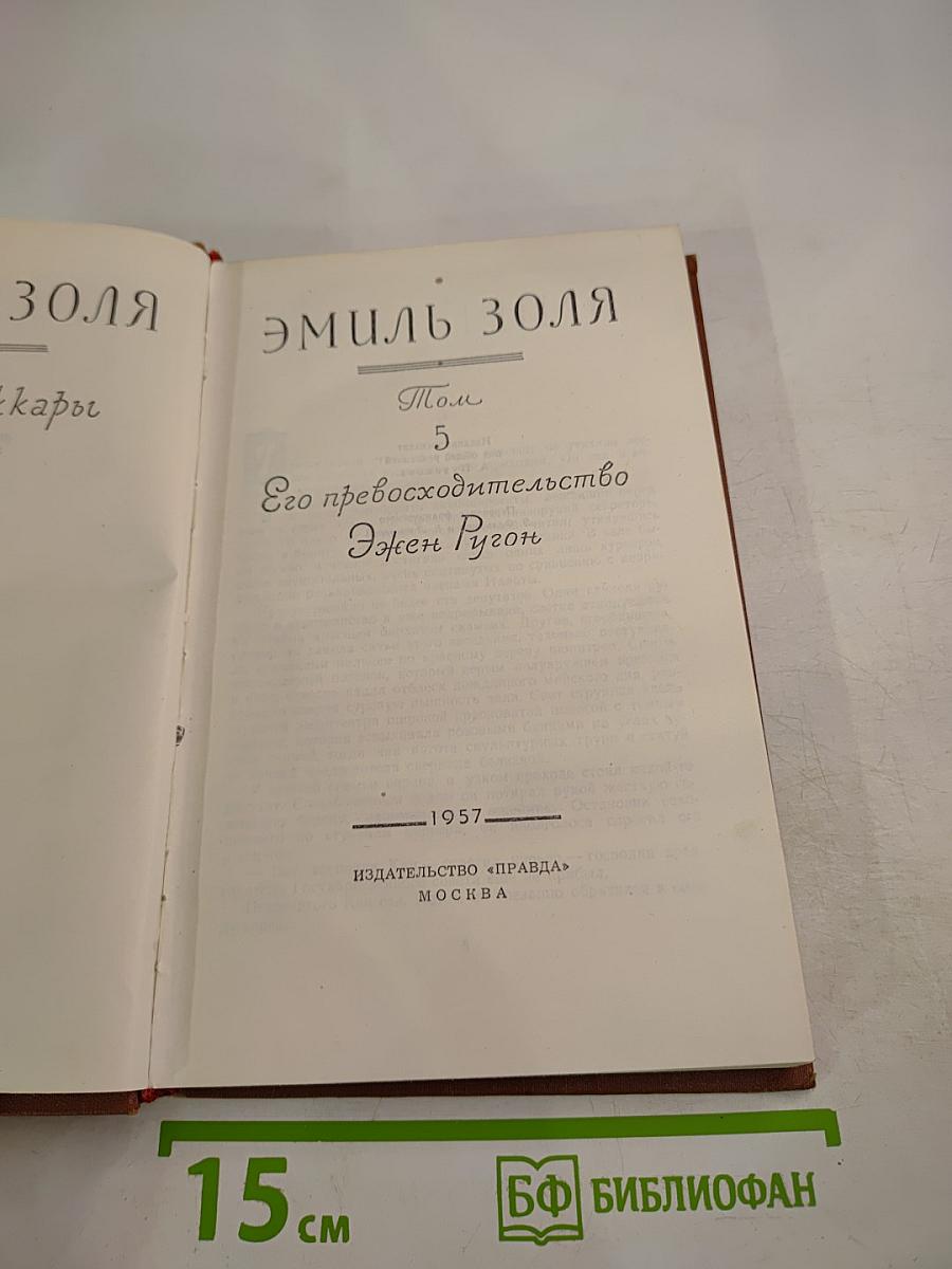 Его превосходительство Эжен Ругон. Том 5