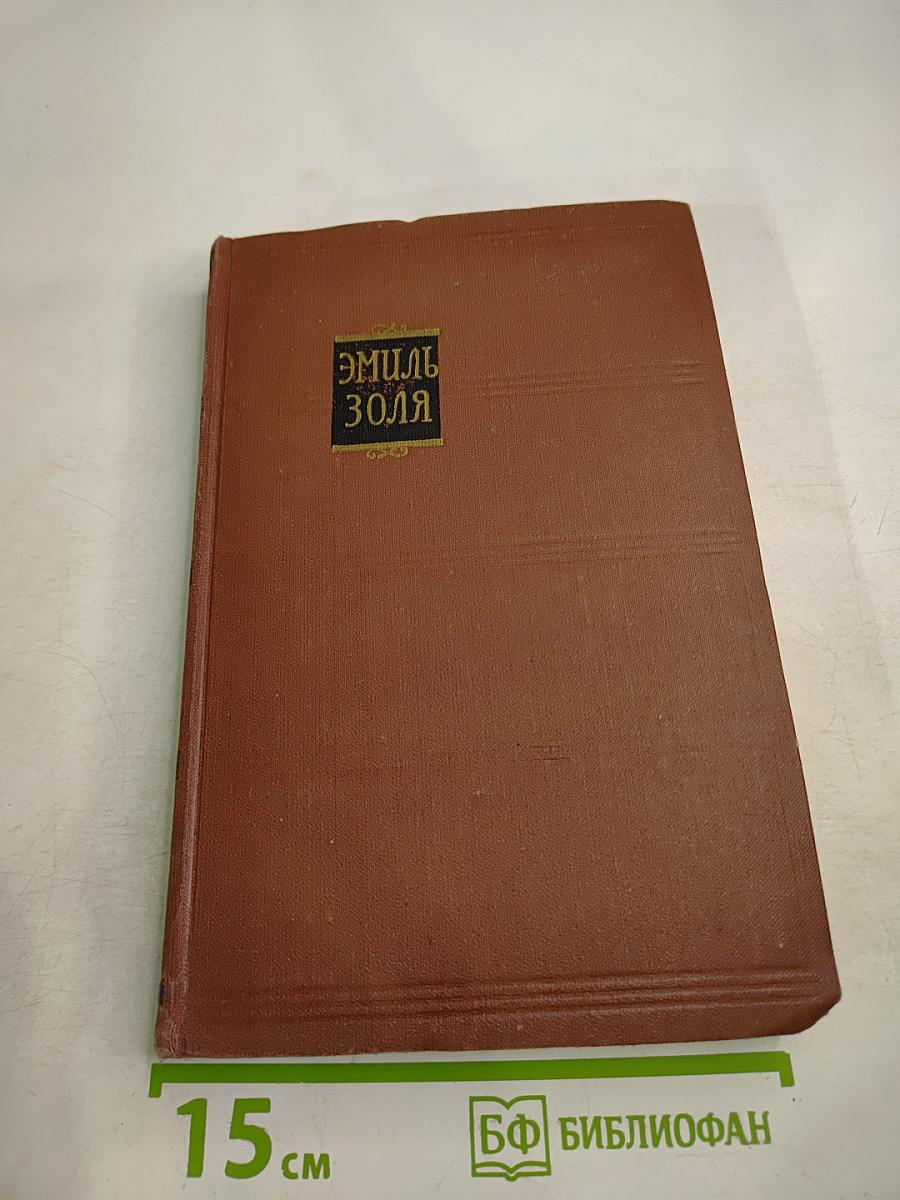 Эмиль Золя. Том 6. Западня