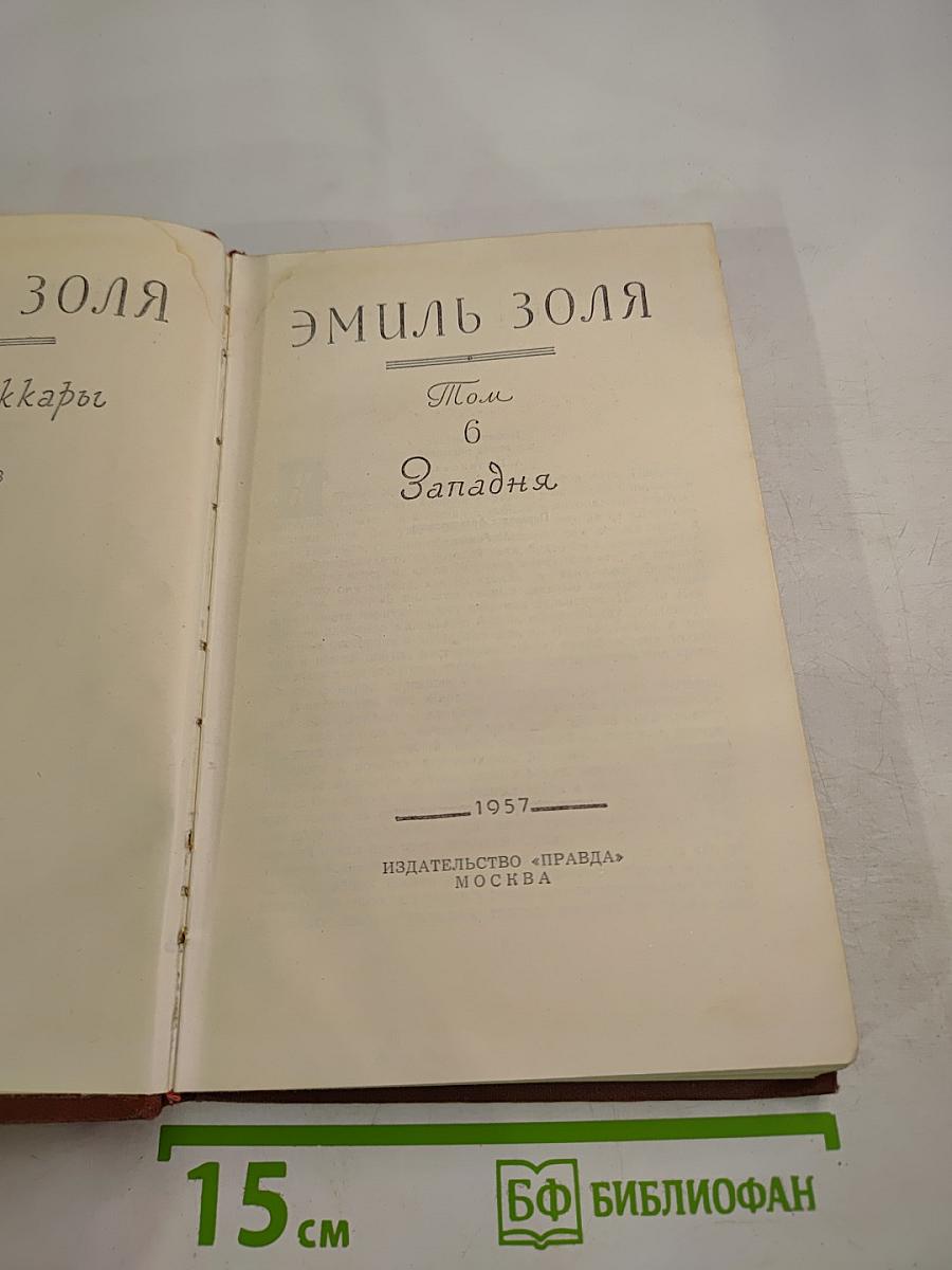 Эмиль Золя. Том 6. Западня