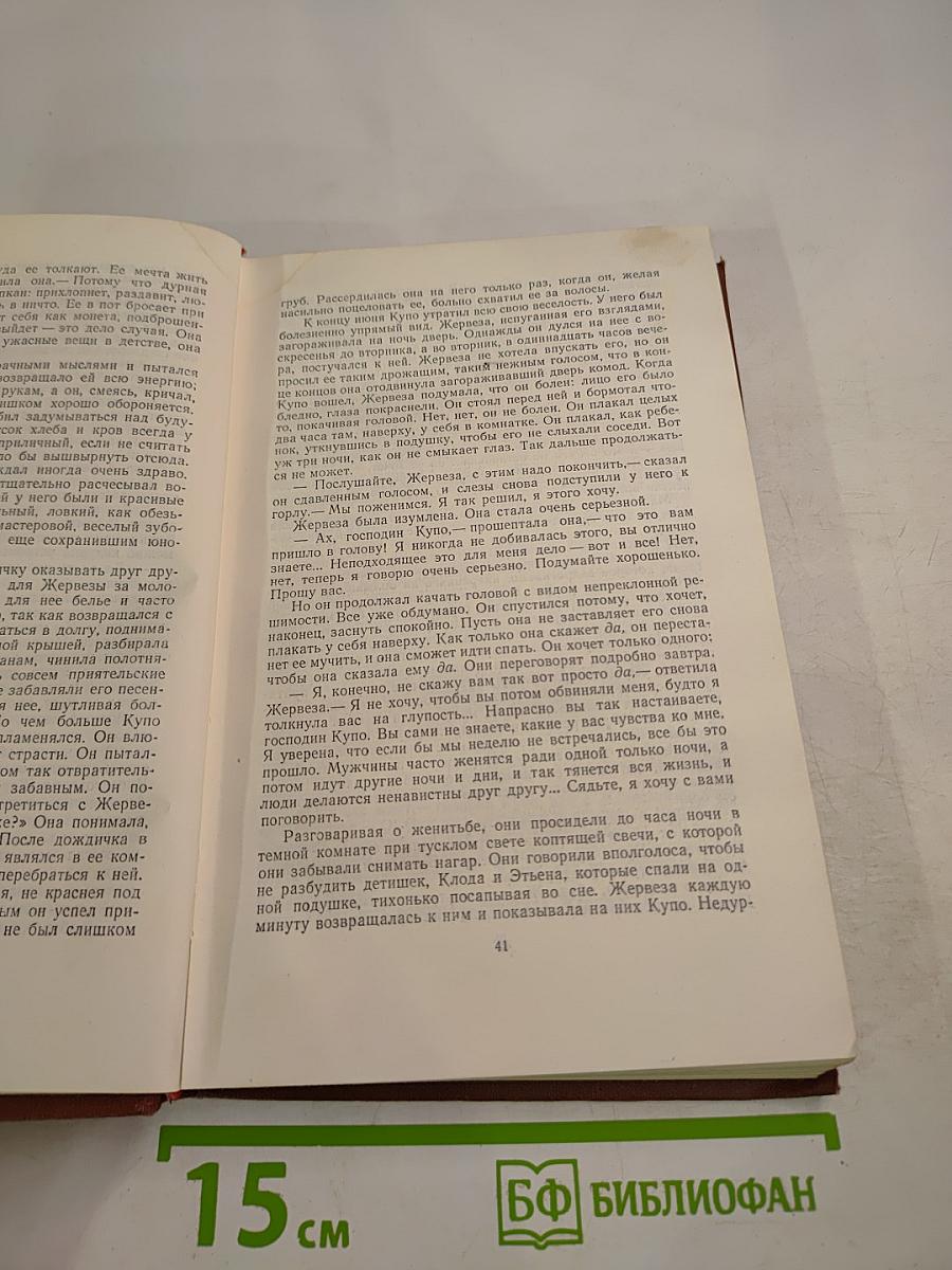 Эмиль Золя. Том 6. Западня