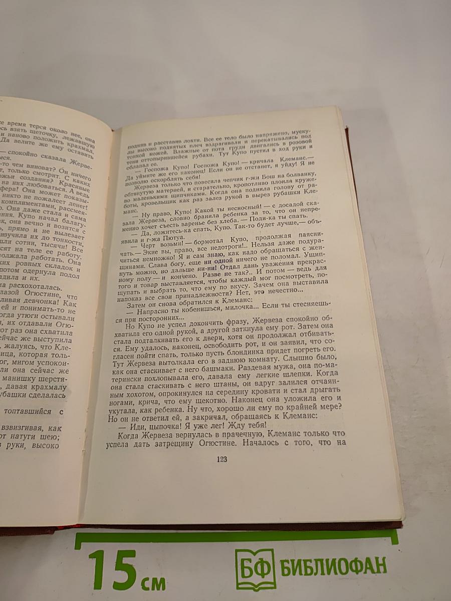 Эмиль Золя. Том 6. Западня