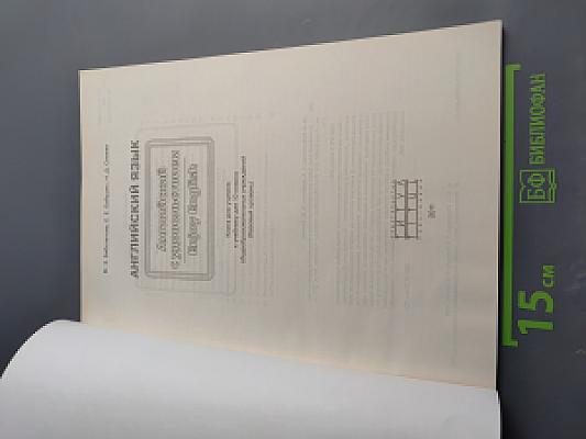 Английский язык. Английский с удовольствием Enjoy English. Книга для учителя. 10 класс