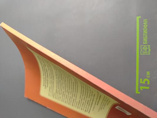 Английский язык. Английский с удовольствием Enjoy English. Книга для учителя. 10 класс