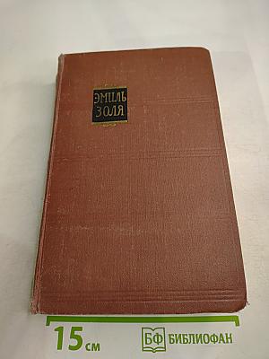 Эмиль Золя. Том 7. Страница любви