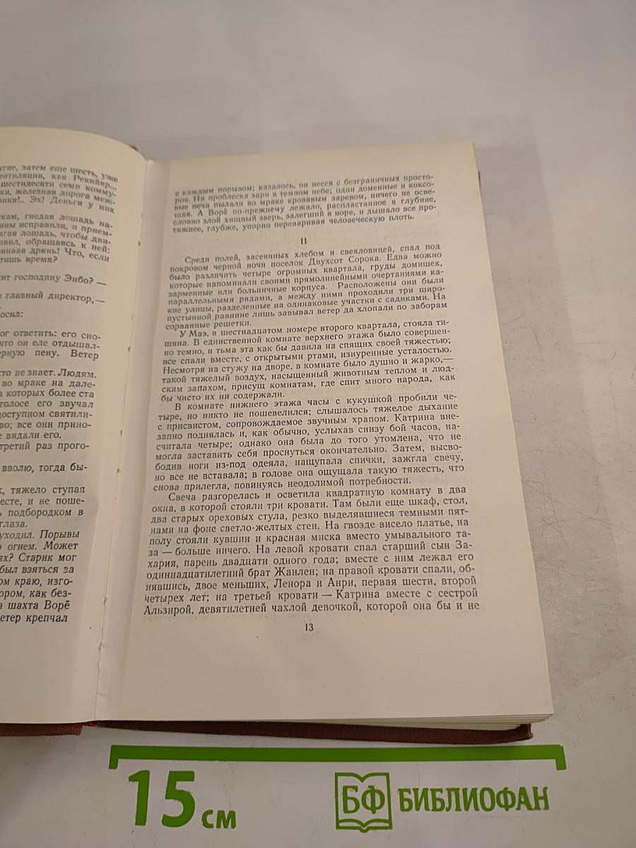 Жерминаль. Том 10