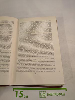 Жерминаль. Том 10