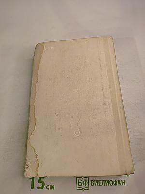 Забытая слава. Опасный дневник