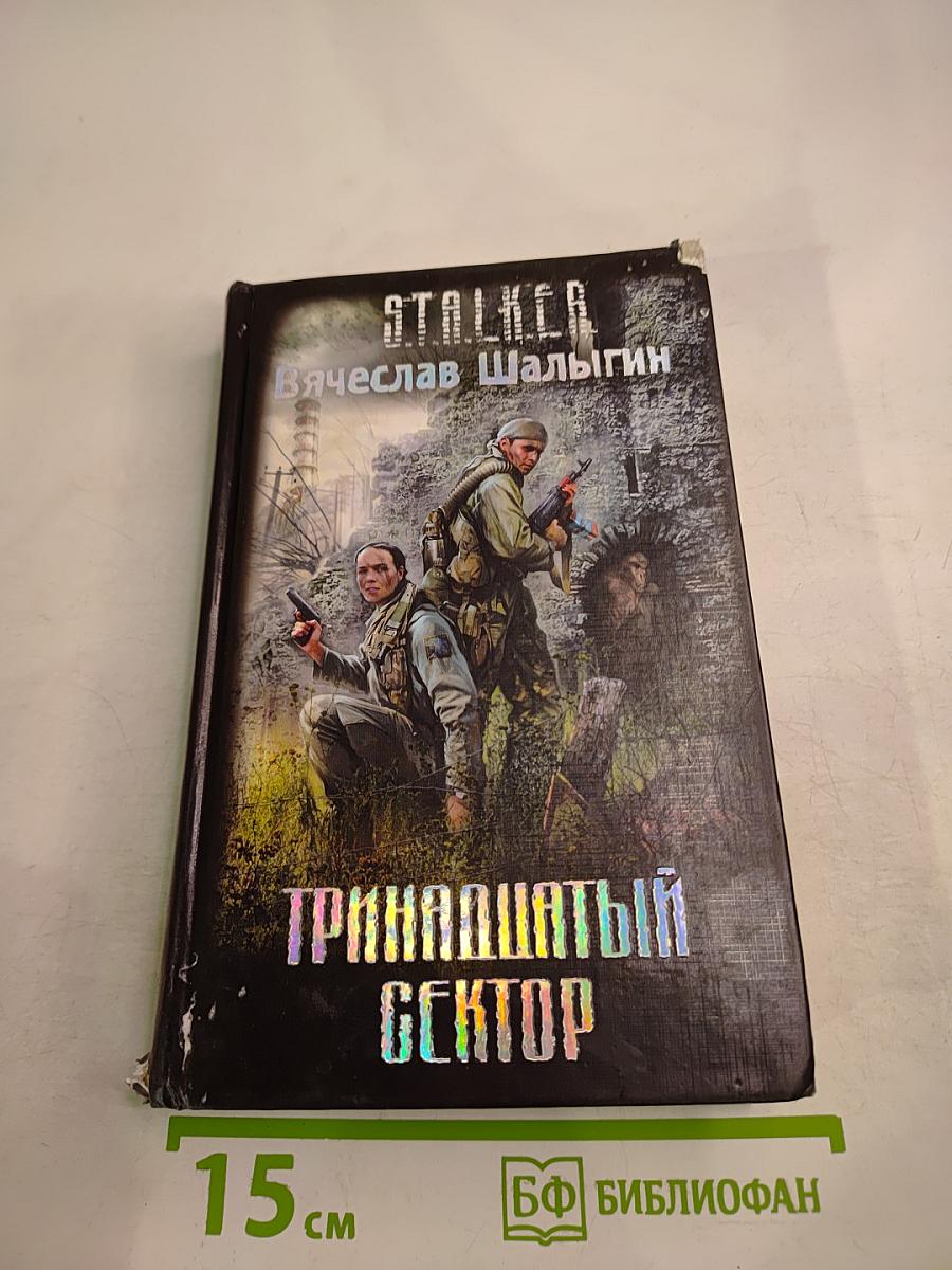 Тринадцатый сектор