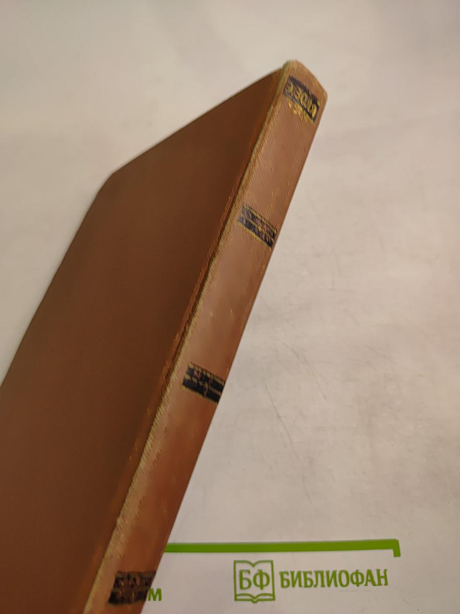 Чрево Парижа